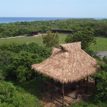 Palapa Hostel Transito Exteriör bild