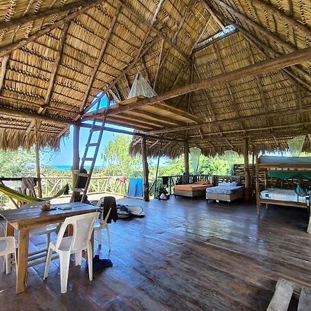 Palapa Hostel Transito Exteriör bild