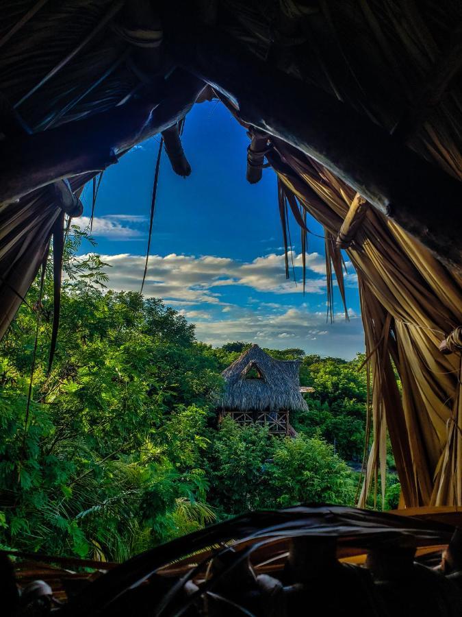 Palapa Hostel Transito Exteriör bild