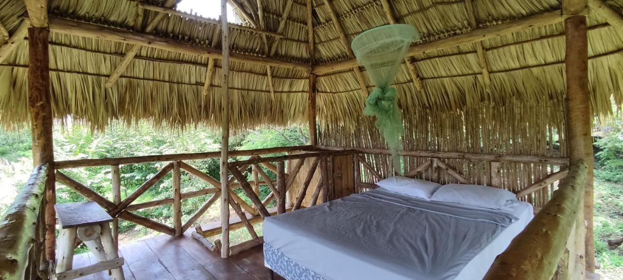 Palapa Hostel Transito Exteriör bild