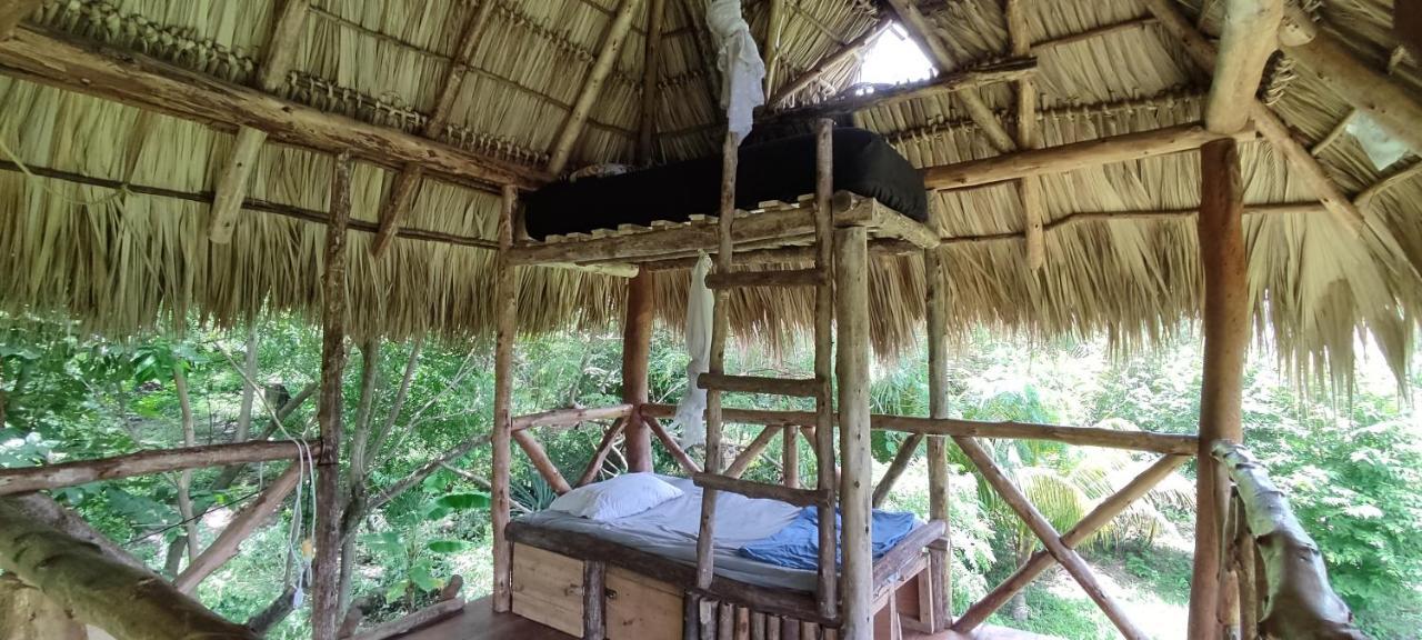 Palapa Hostel Transito Exteriör bild