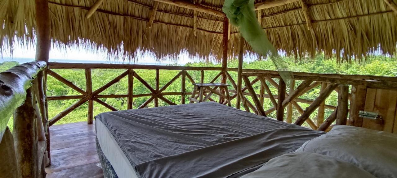 Palapa Hostel Transito Exteriör bild