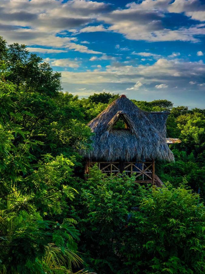 Palapa Hostel Transito Exteriör bild