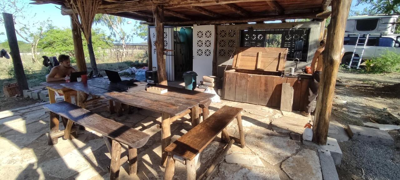 Palapa Hostel Transito Exteriör bild