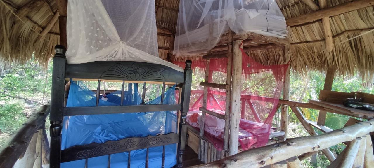 Palapa Hostel Transito Exteriör bild
