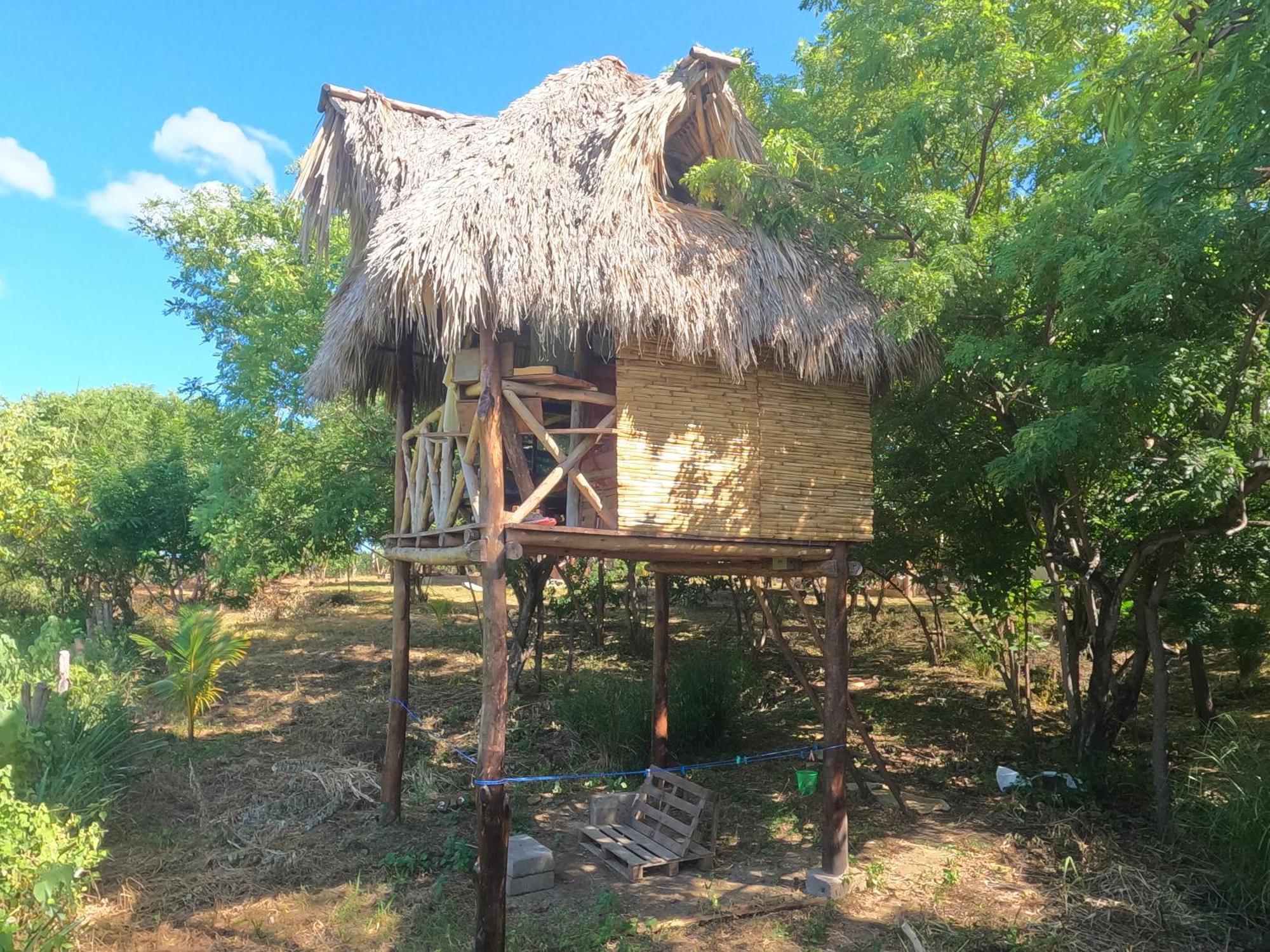 Palapa Hostel Transito Exteriör bild