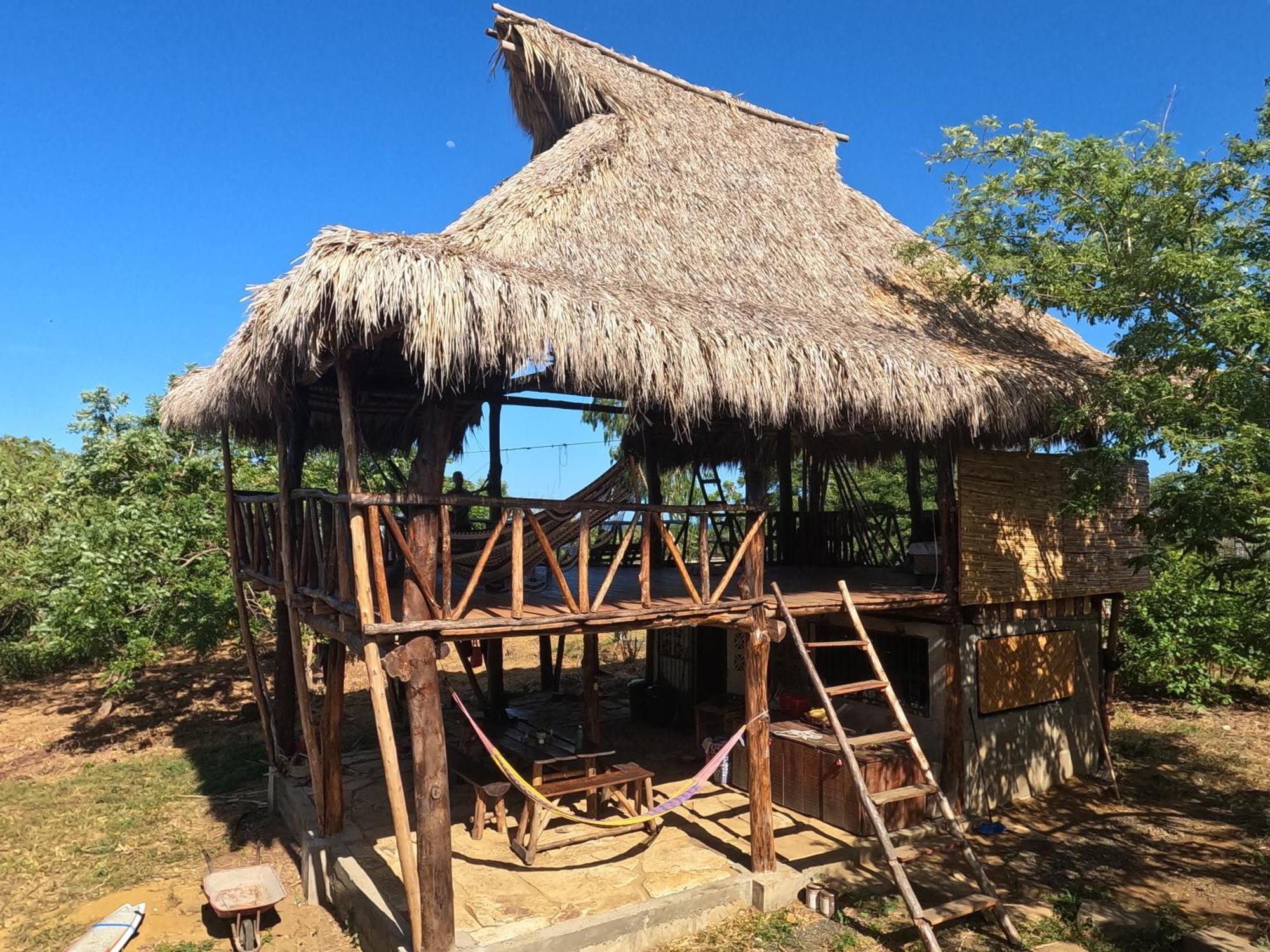 Palapa Hostel Transito Exteriör bild