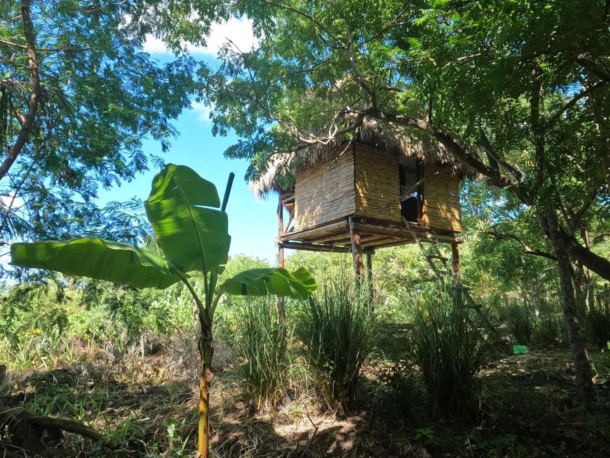 Palapa Hostel Transito Exteriör bild