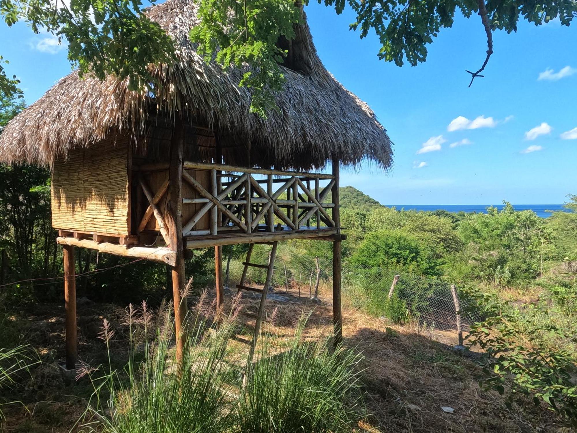 Palapa Hostel Transito Exteriör bild
