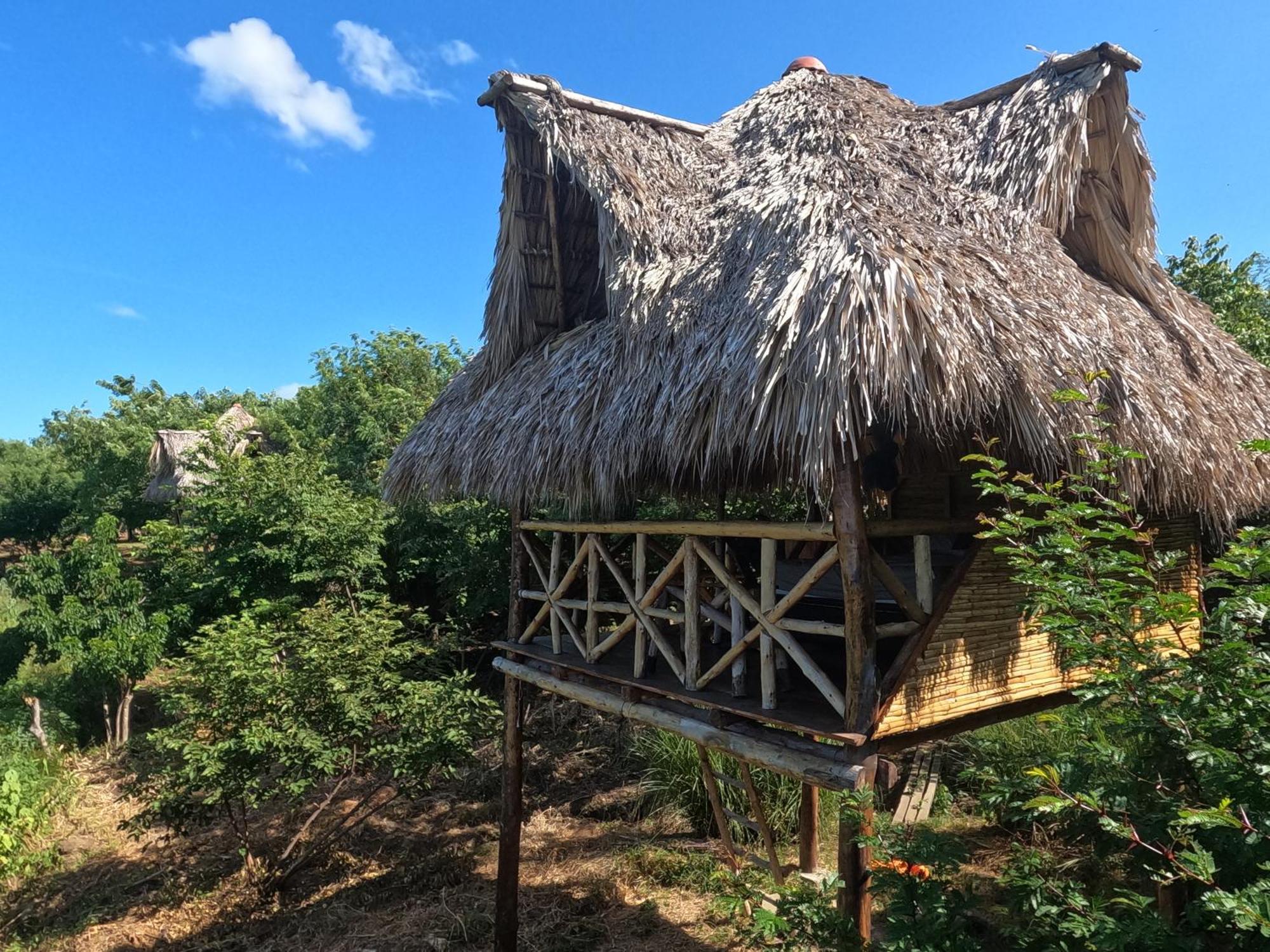Palapa Hostel Transito Exteriör bild
