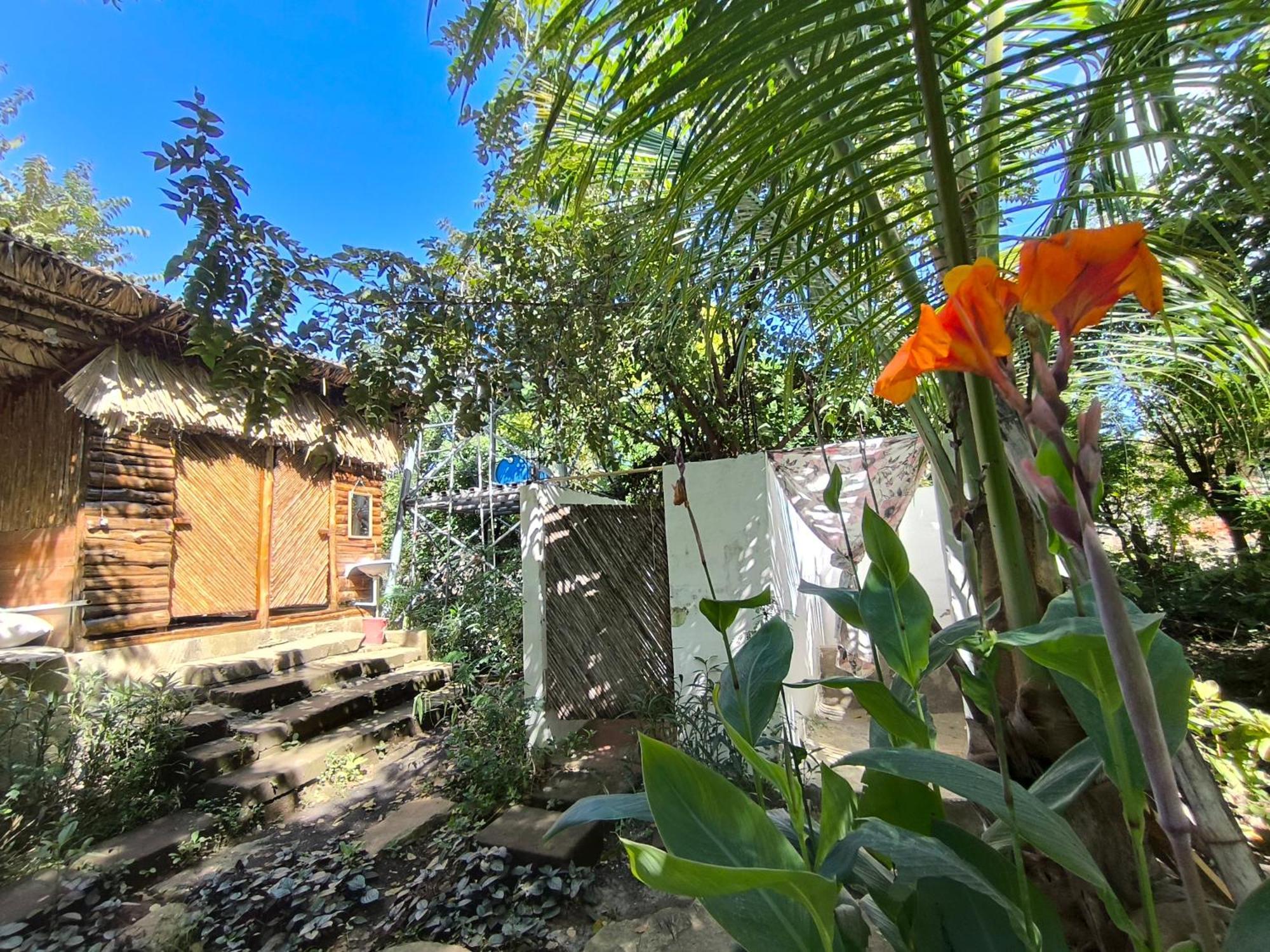 Palapa Hostel Transito Exteriör bild