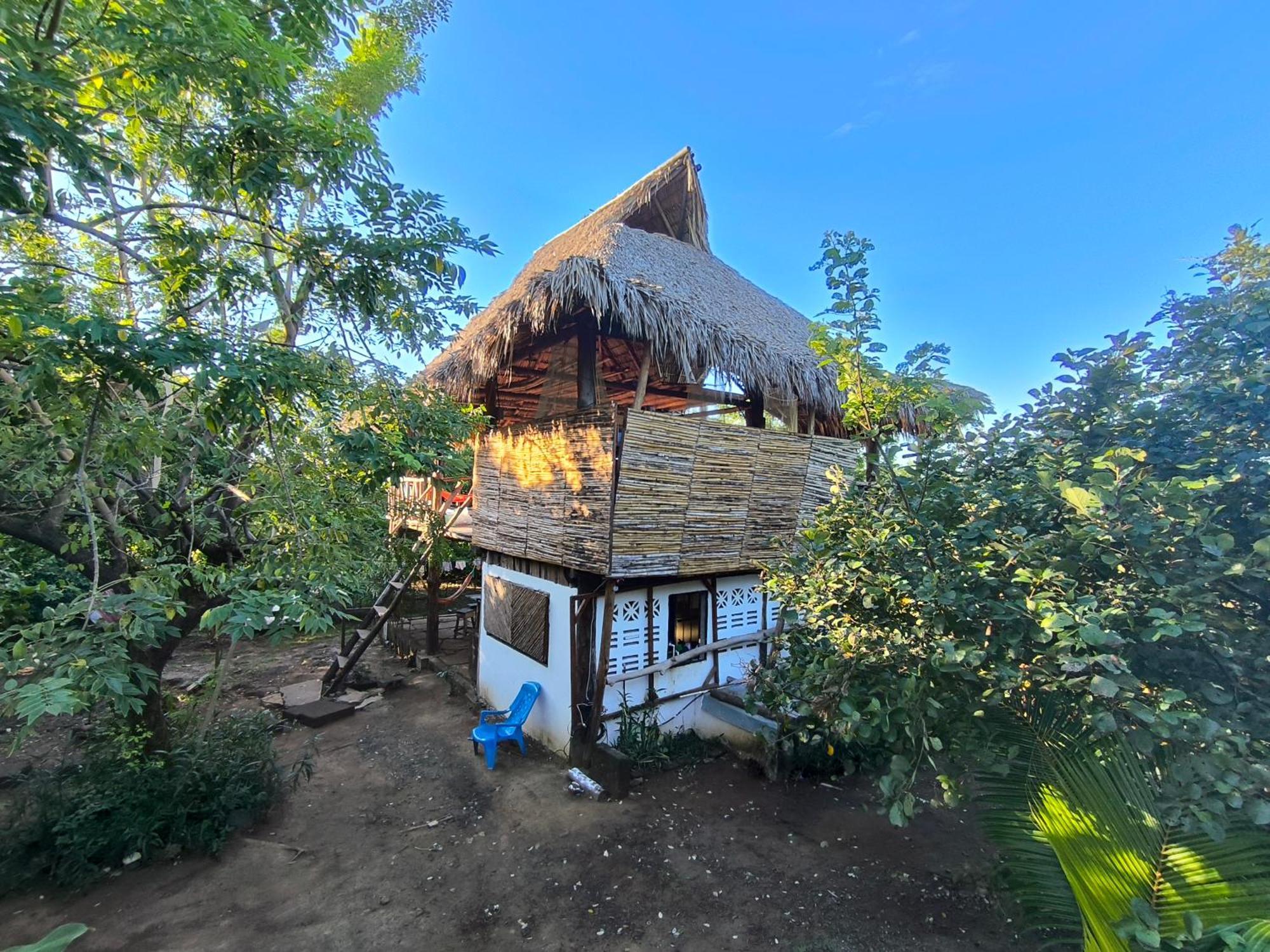 Palapa Hostel Transito Exteriör bild