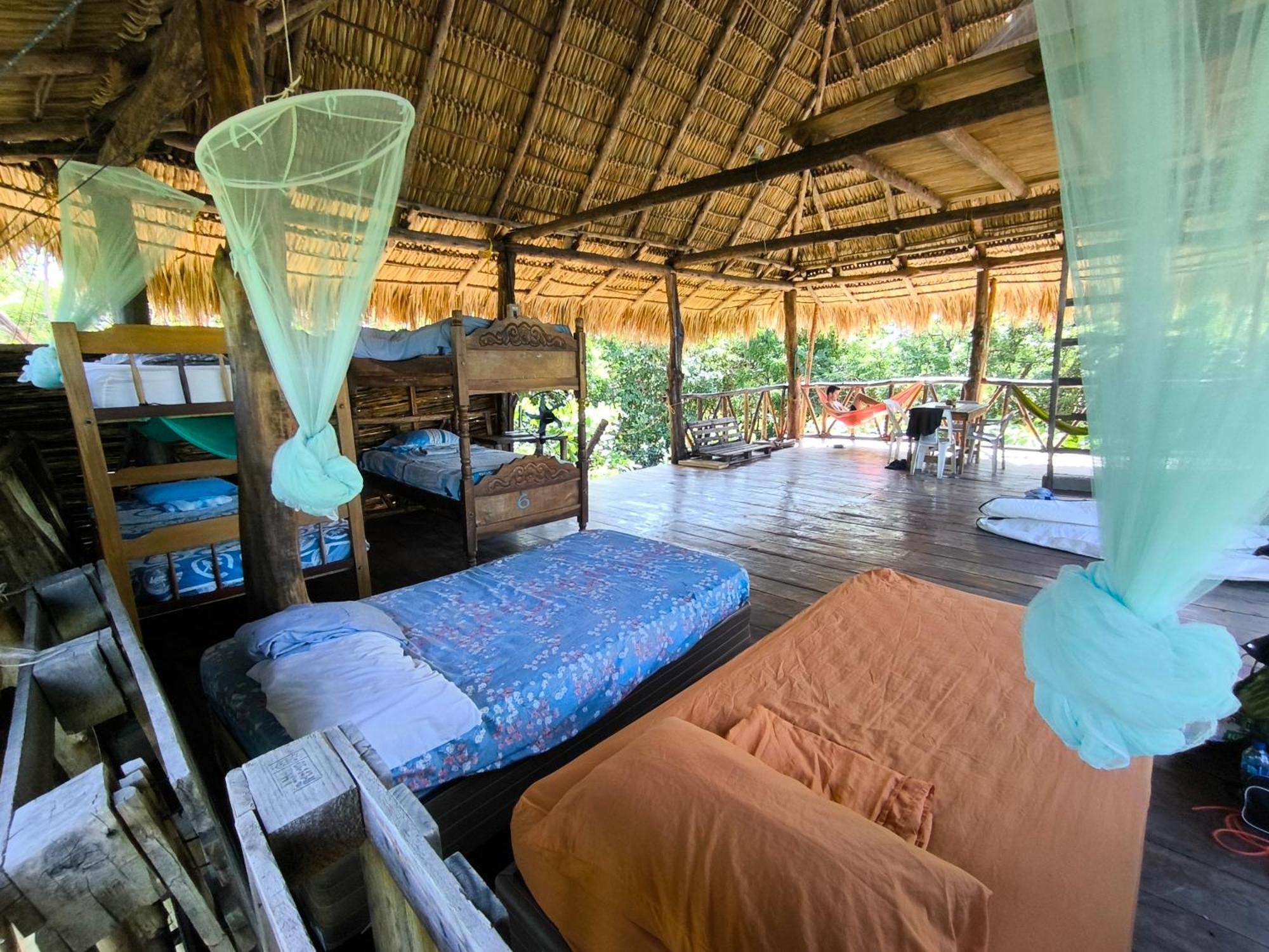 Palapa Hostel Transito Exteriör bild