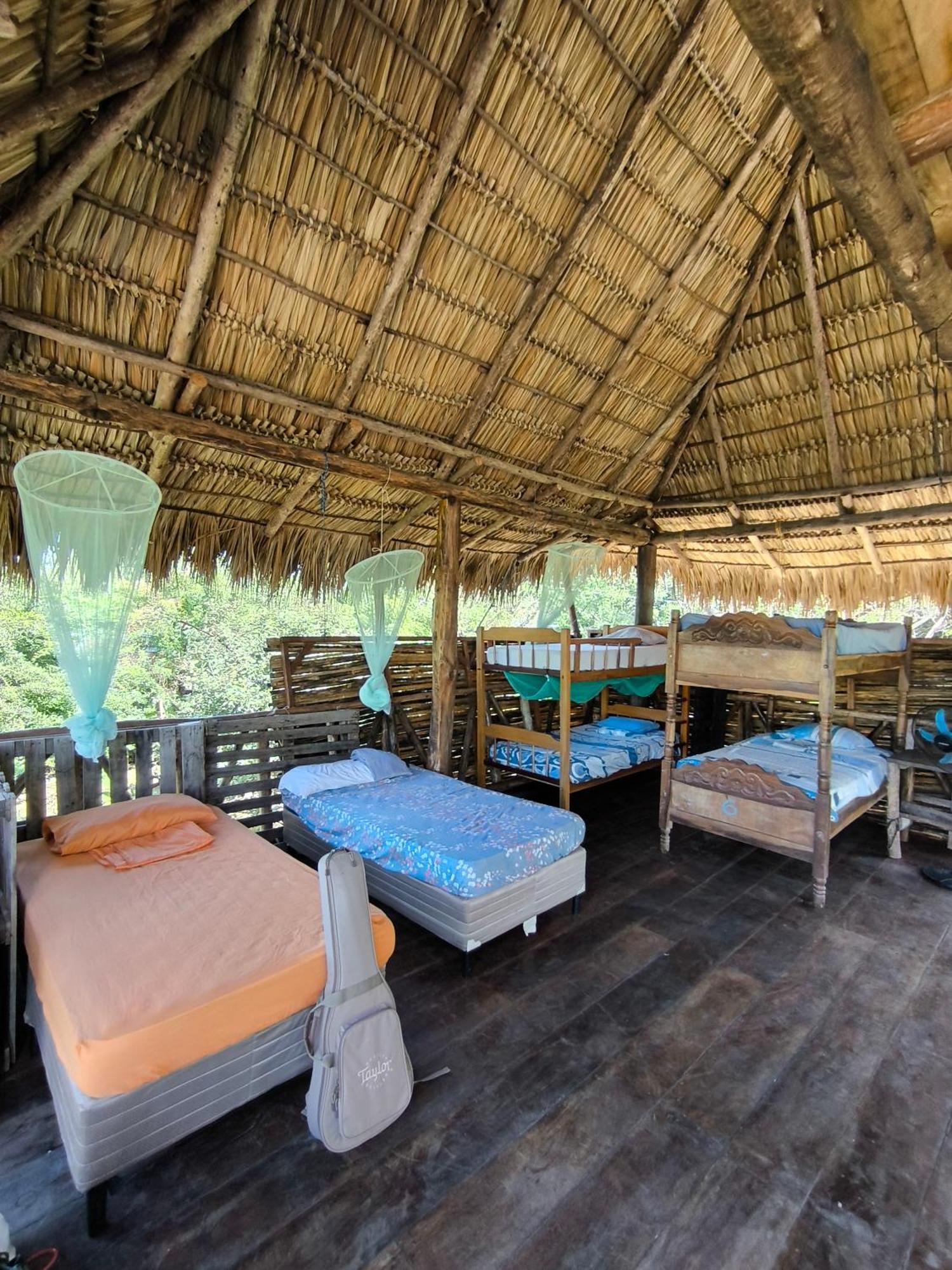 Palapa Hostel Transito Exteriör bild