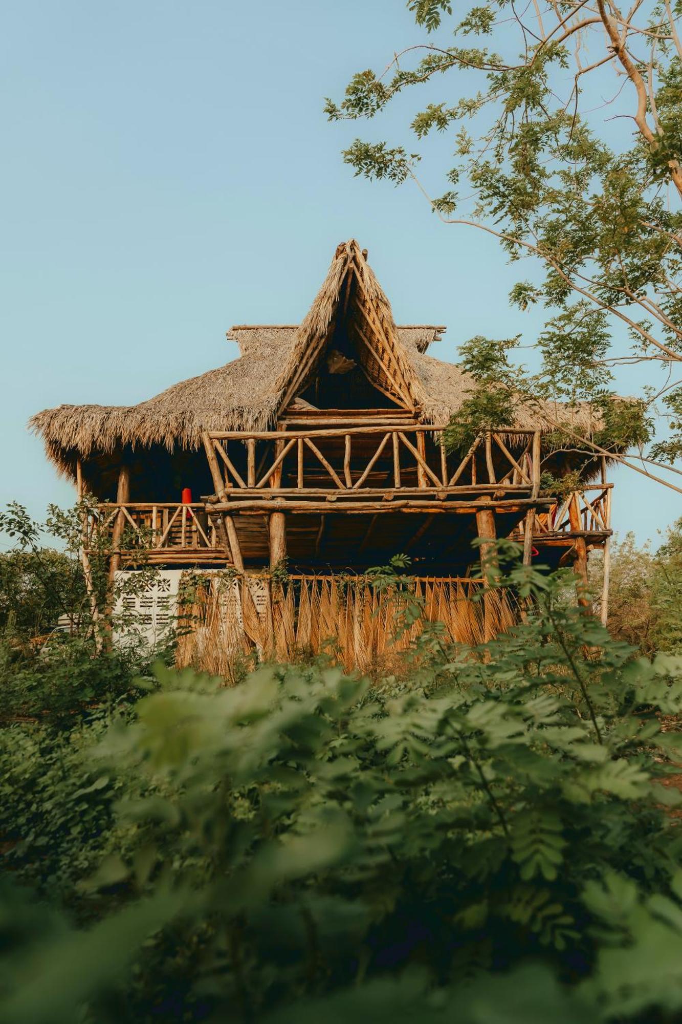 Palapa Hostel Transito Exteriör bild