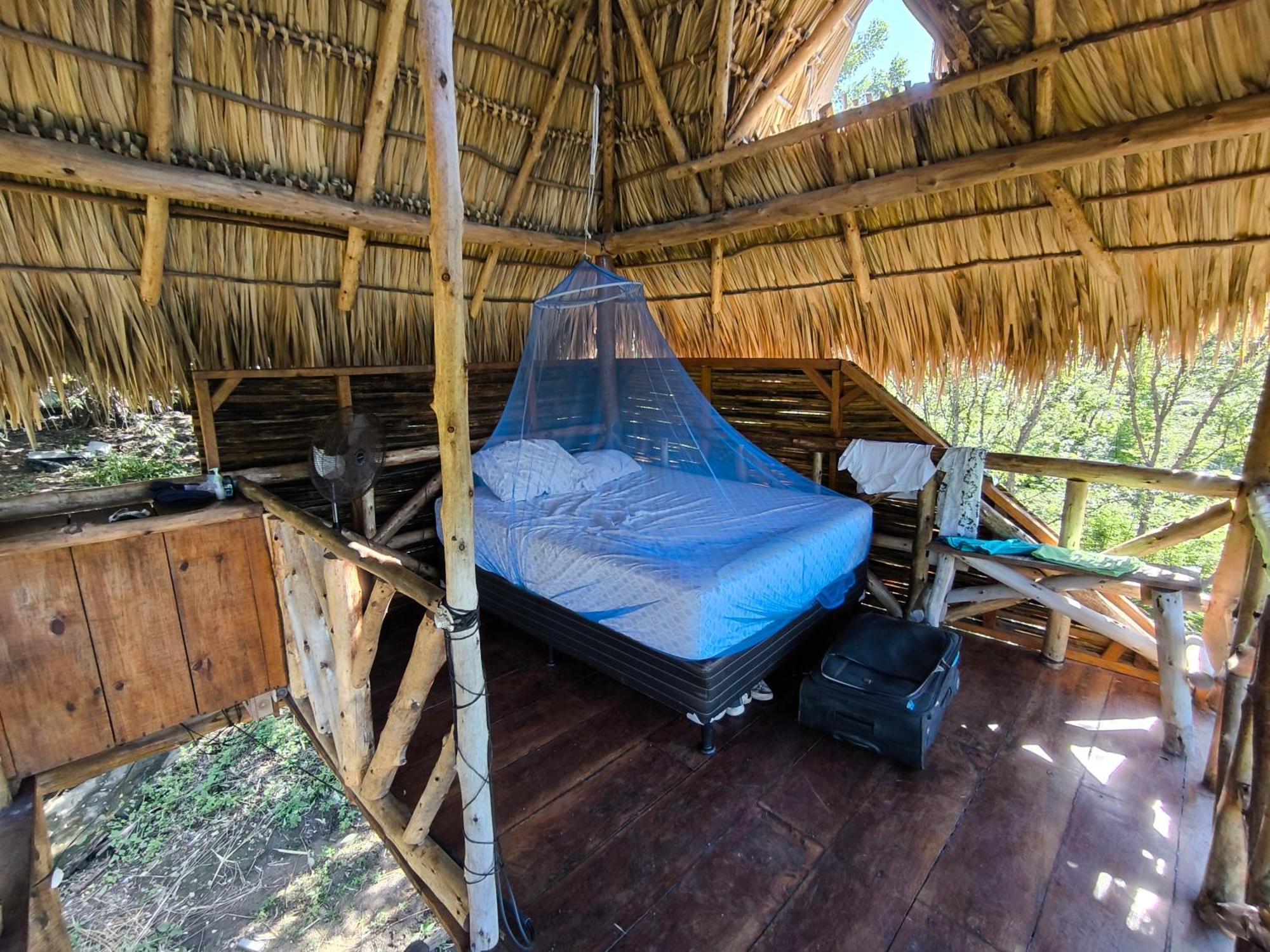 Palapa Hostel Transito Exteriör bild
