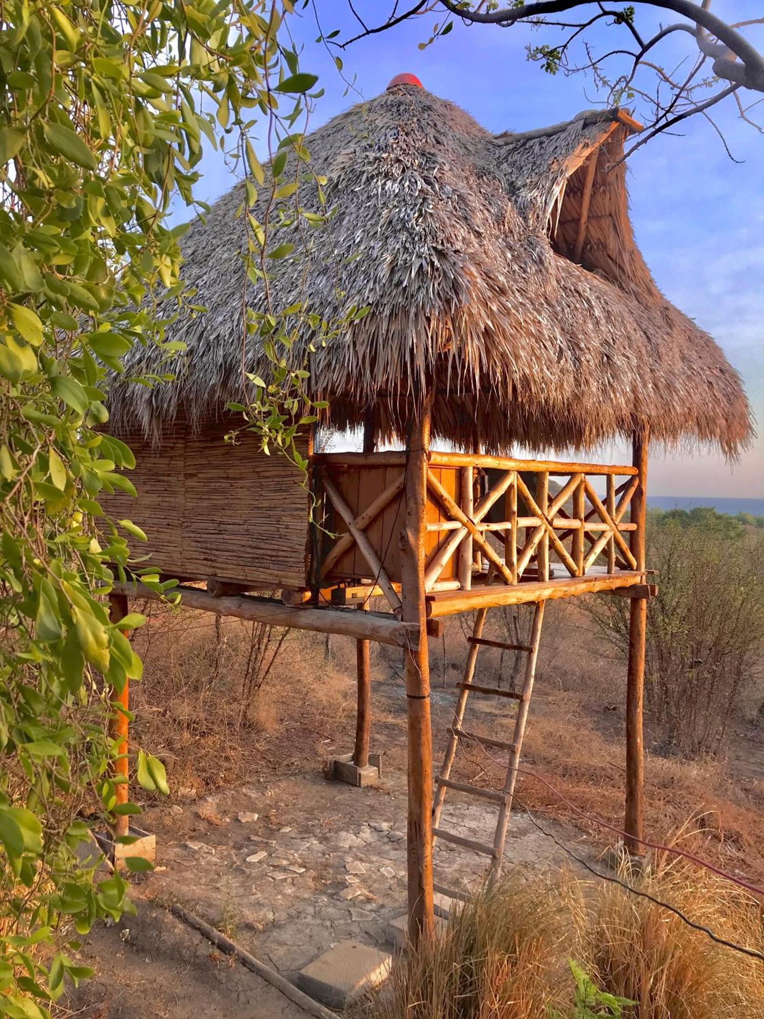 Palapa Hostel Transito Exteriör bild