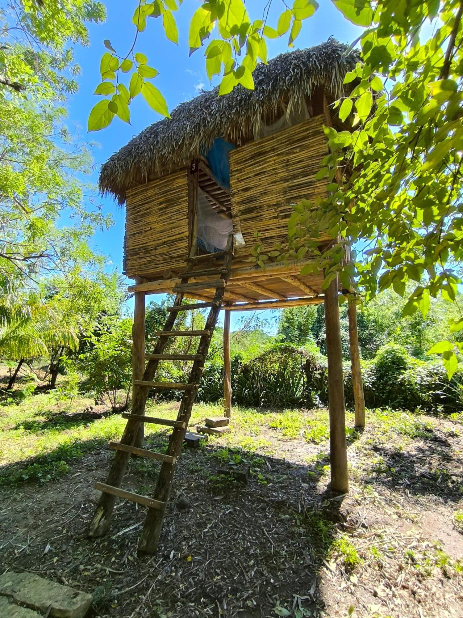 Palapa Hostel Transito Exteriör bild